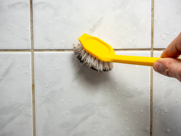 Trusted Bellaire, TX Mold Remediation Experts
