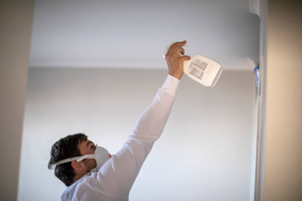 Best Kitchen Mold Remediation in Bellaire, TX