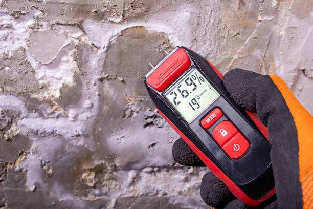 Best HVAC Mold Remediation in Bellaire, TX