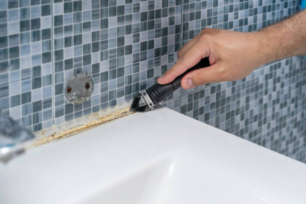 Best Mold Remediation for Schools in Bellaire, TX