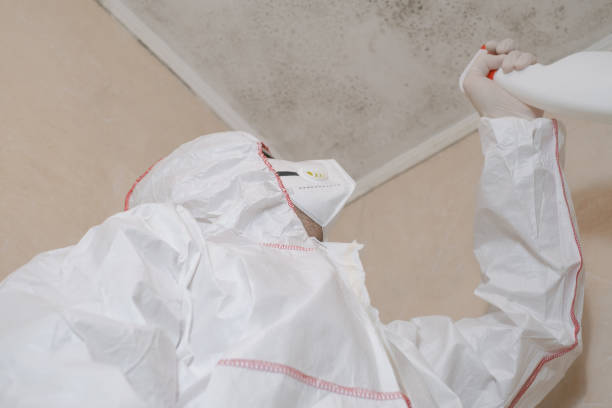 Best Post-Flood Mold Remediation in Bellaire, TX